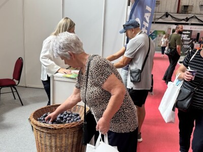 52. Sajam šljive u Gradačcu