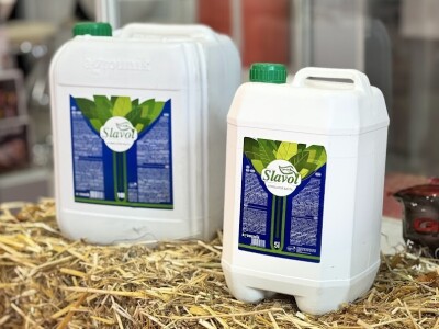 52. Sajam šljive u Gradačcu