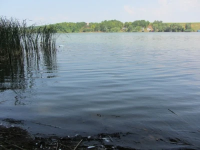 Jezero Moharač