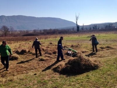 Labinprogres program košnje! Labinprogres program košnje!