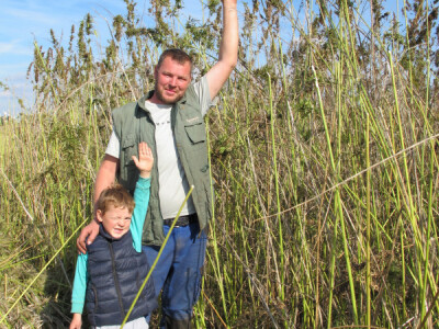 Ekološki uzgoj donedavno zabranjene biljke