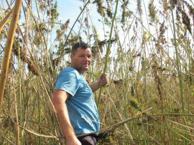 Ekološki uzgoj donedavno zabranjene biljke