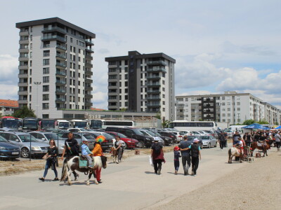 Novosadski sajam 2025