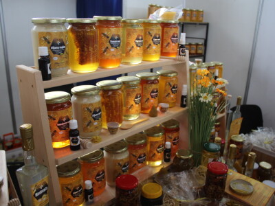 Novosadski sajam 2025