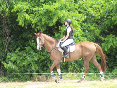 Novosadski sajam 2025