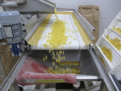 &quot;Žitopromet&quot;, Senta