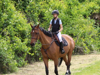 Novosadski sajam 2025