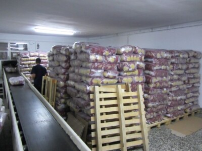 &quot;Žitopromet&quot;, Senta