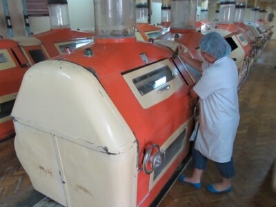 &quot;Žitopromet&quot;, Senta