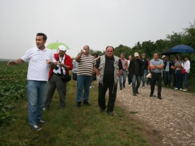 Dražen Jurišić, managing direktor Odjela za šećernu repu i žitarice KWS-a