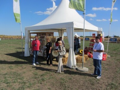 Lepo uređeni štandovi