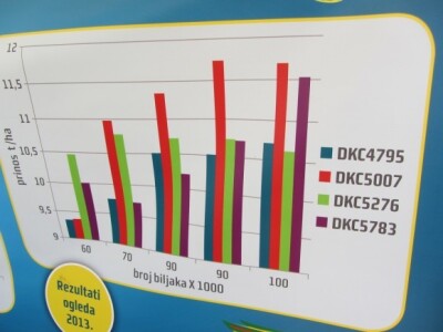 Gustina setve i prinos