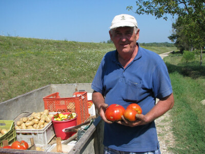 Josip pokazuje paradajz