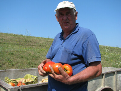 Josip po povratku iz njive