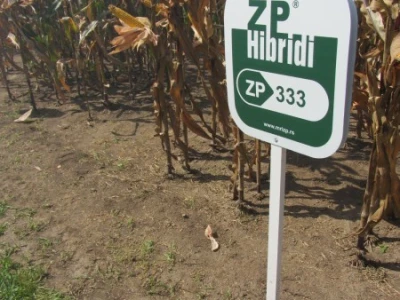 ZP 333