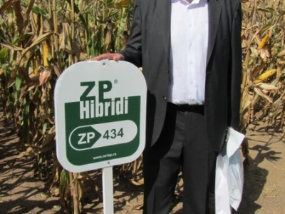 ZP 434