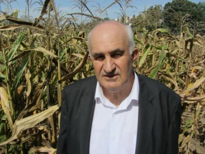 Života Jovanović