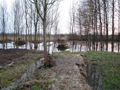 idealno za pošumljavanje