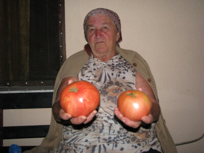 Ljubica pokazuje paradajz