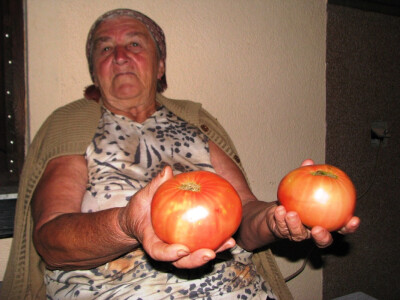 Ljubica se ponosi svojim paradajzom