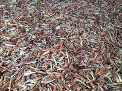 Opg Marinko Šarolić