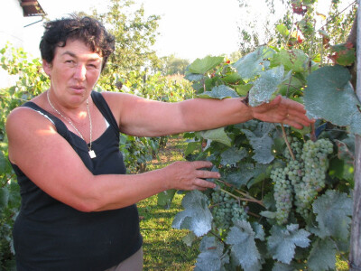 Marija pokazuje grožđe