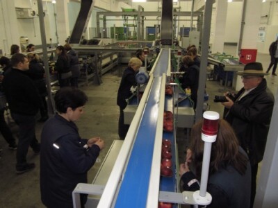 Lepljenje etiketa na modi