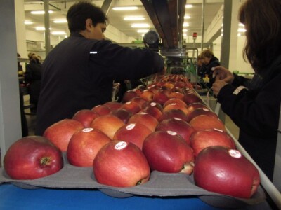 Lepljenje etikete na modi