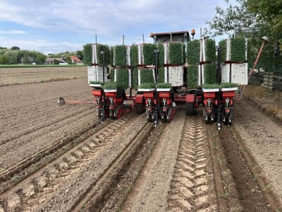 Netafim navodnjavanje na gospodarstvu Drožđek