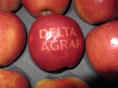 Delta Agrar jabuke