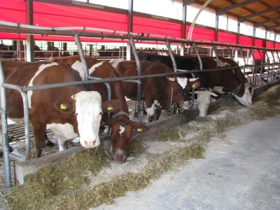 Farma Cimirotić