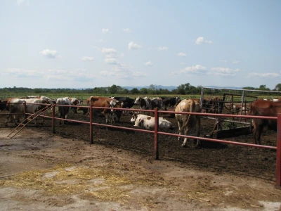 Farma Cimirotić