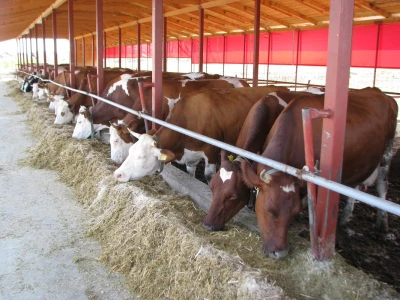 Farma Cimirotić