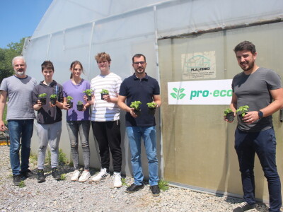 Srednja škola Stjepana Sulimanca u Pitomači