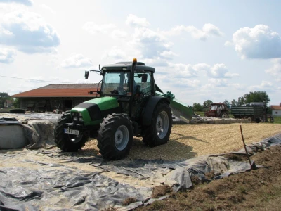 silaža