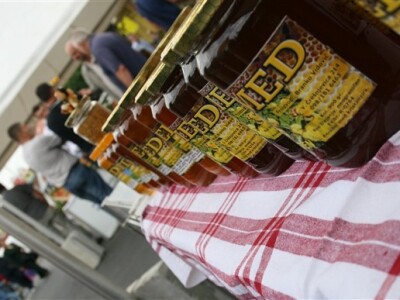 AgroExpo 2012. - med