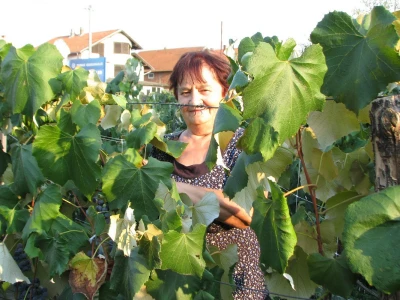 Zora Gajanović
