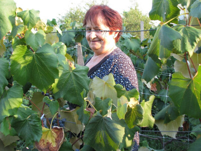 Zora zadovoljna urodom