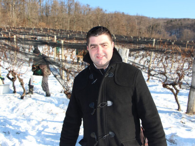 Ivan Marinclin, glavni enolog u Kutjevu d.d.