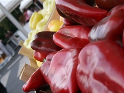 AgroExpo 2012. - paprika