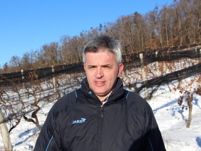 Mladen Pavić, predsjednik Uprave Kutjeva d.d.