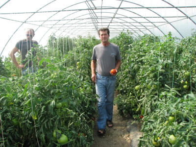 Direktor Blagojević pregovara sa Račićem u plasteniku