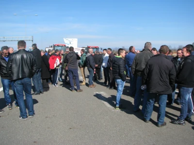 protesti