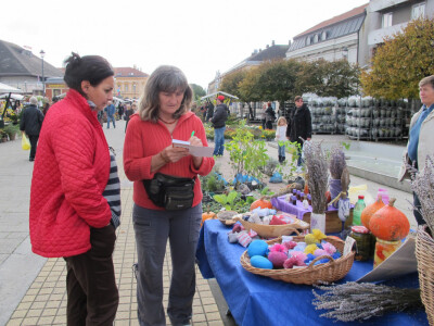 Cvjetna košarica za selfi - hit u Ždralovu gradu Cvjetna košarica za selfi - hit u Ždralovu gradu