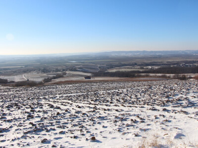 Ledena berba u Kutjevu