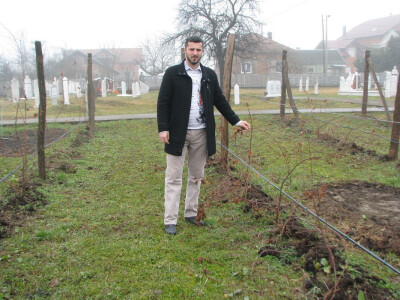 Ulfet u malinjaku Ulfet u malinjaku