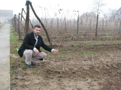 Ulfet u malinjaku Ulfet u malinjaku