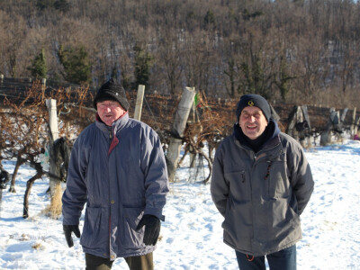 Ledena berba u Kutjevu