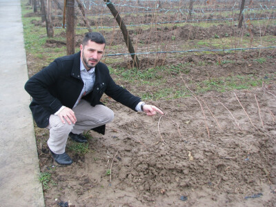 Ulfet Brkić Ulfet Brkić