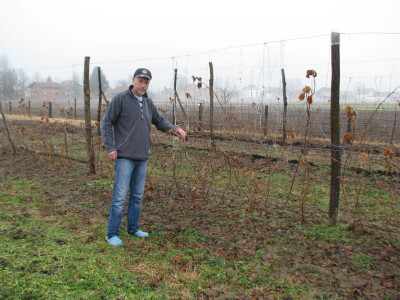 Muhamed u malinjaku Muhamed u malinjaku